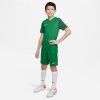 Koszulka Nike Trophy V JSY Junior DR0942 302 zielony XS (122-128cm)